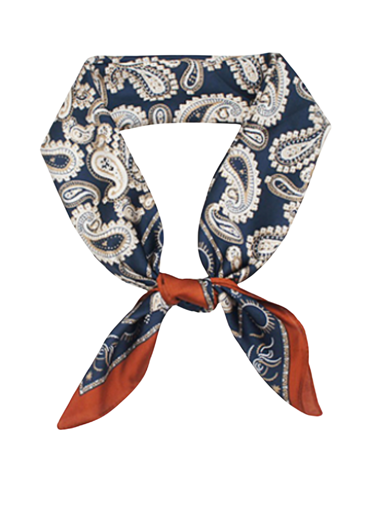 Paisley Border Scarf