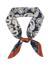 Paisley Border Scarf