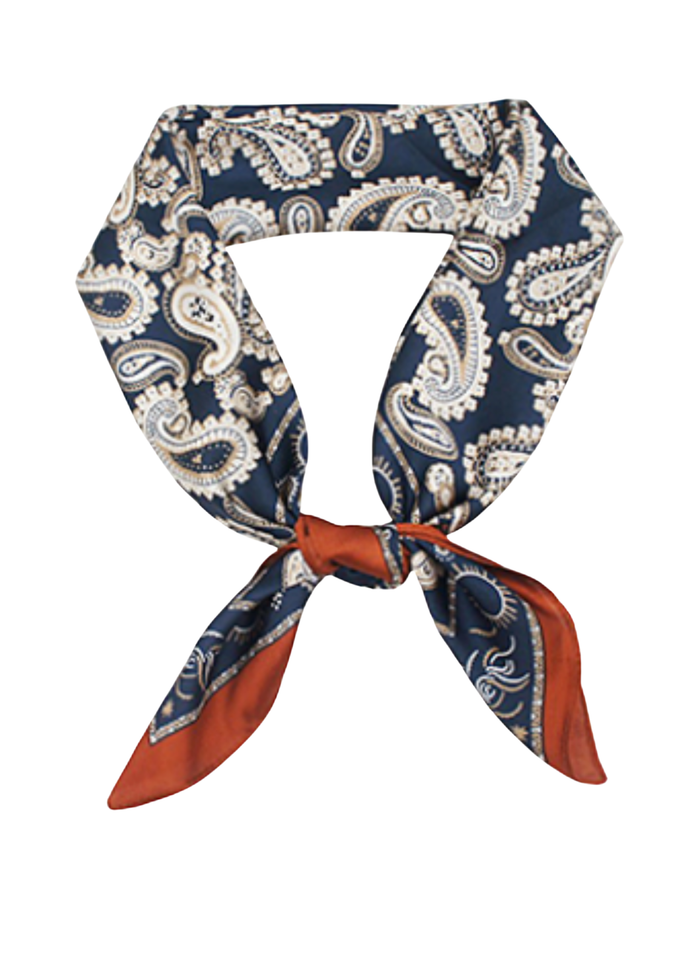 Paisley Border Scarf