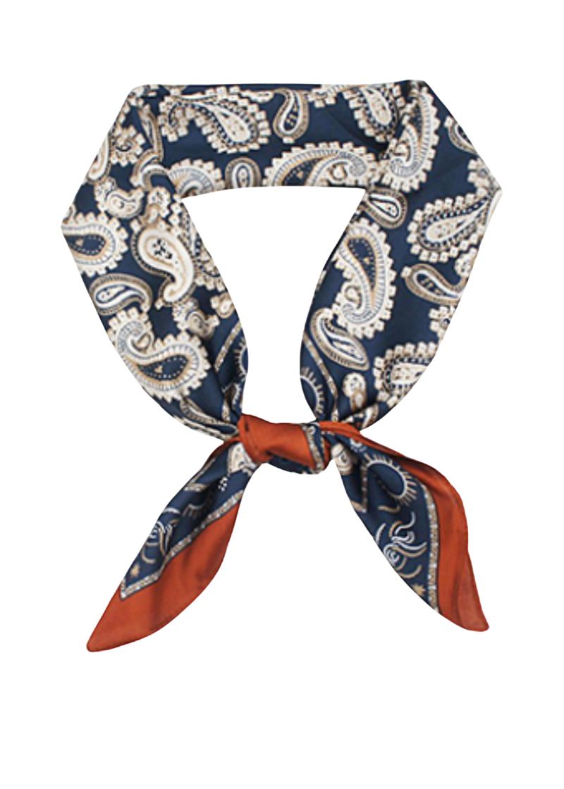 Paisley Border Scarf