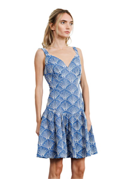 Nova Denim Mini Dress
