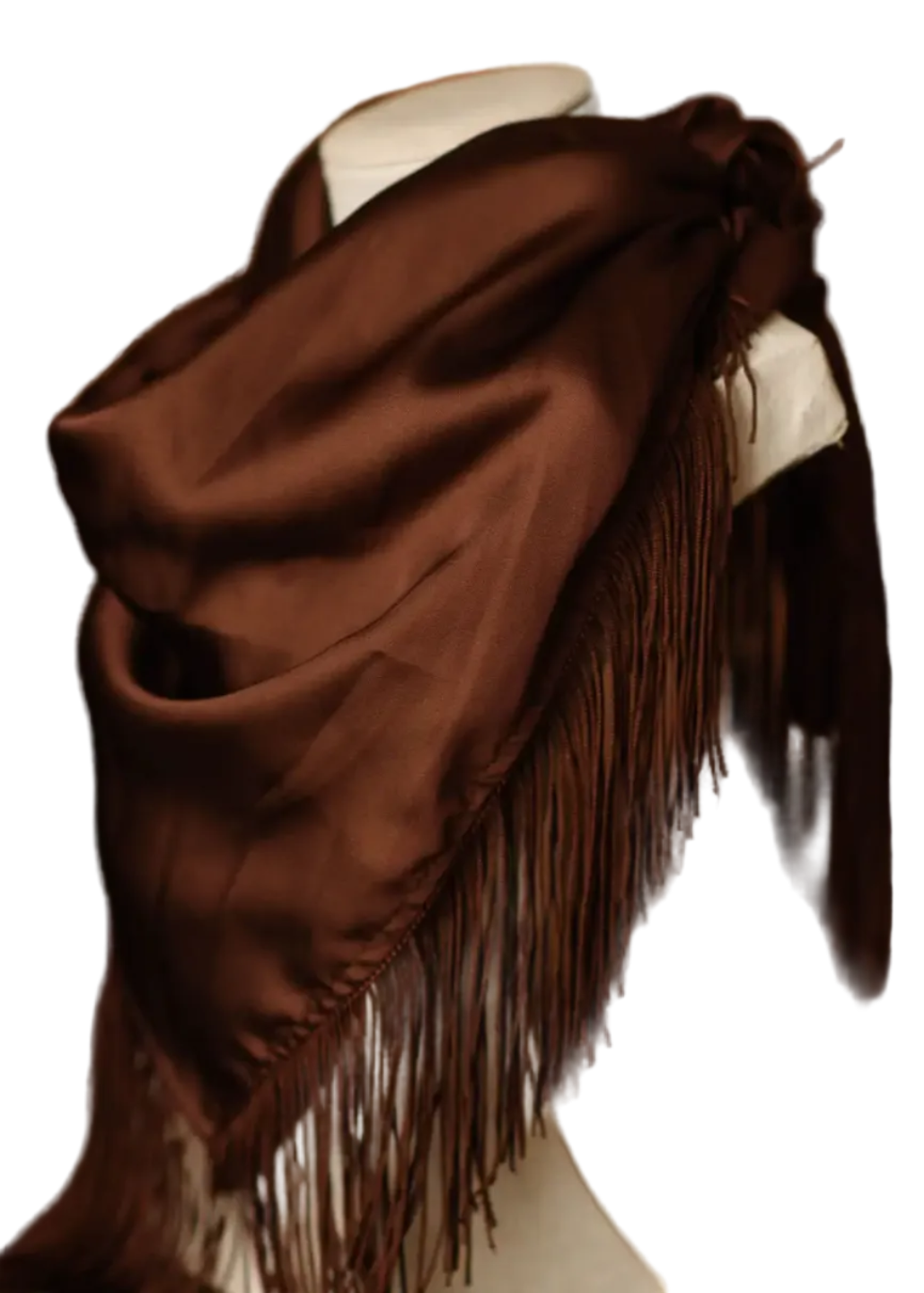 Solid Fringe Scarf - Chocolate Brown