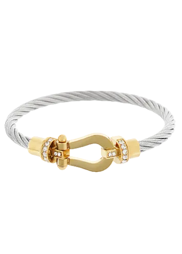 Horsebit Rope Wire Banlge Bracelet-Twotone/Clear